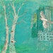 White Hawk Fine Art Print