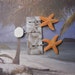 Sugar and Sand - Starfish and Sand Dollar Bobby Pins