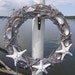 BEACH DECOR, seashell wreath, knobby starfish, driftwood gray, nautical wreath