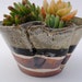 ceramic planter bowl dish garden clay planter small garden pot