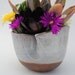 ceramic planter bowl garden planter pot stoneware dish garden
