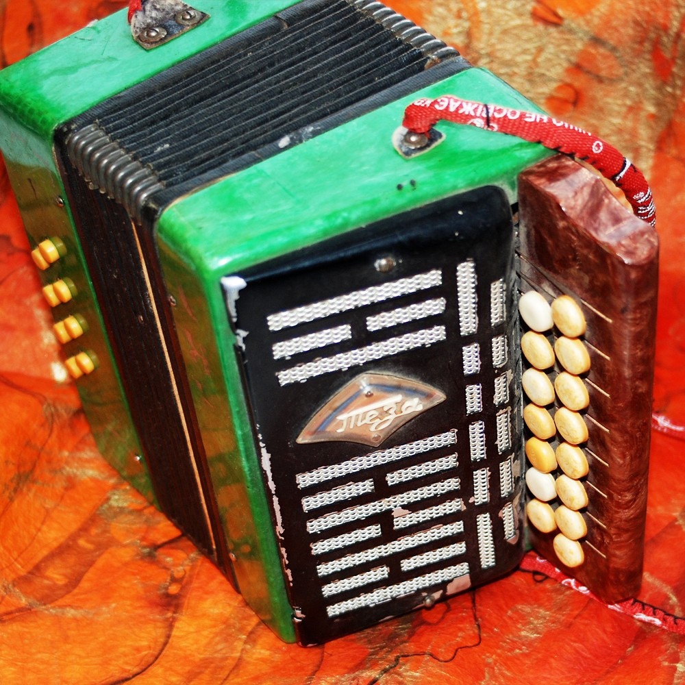 accordion toy