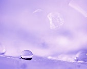 Macro Photography Purple romantic water drop rain sparkle plum lavender amethyst women for her home decor wall art abstract photograph photo