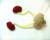 Kidneys Crochet Plush with Ureters and Bladder