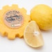 Gear Head No-Bottle Vegan Organic Shampoo Bar with Massive Suds 6 oz