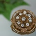 Vintage Goldtone and Paste Round Brooch