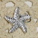 Starfish Hair Swirls in Clear Acrylic for Beach Wedding Party