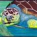 Sea Turtle..Hawksbill Turtle..3