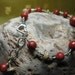 Red Earth Bracelet