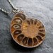 Amber Brown Ammonite Fossil Pendant