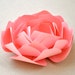 Reserved listing - The Amelia Series - paper peony place setting, gift topper, wedding favor, shower favor. Pink and Yellow.