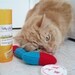 Catatonica - pill shaped cat nip toy