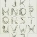 Limited Edition - Alphabet
