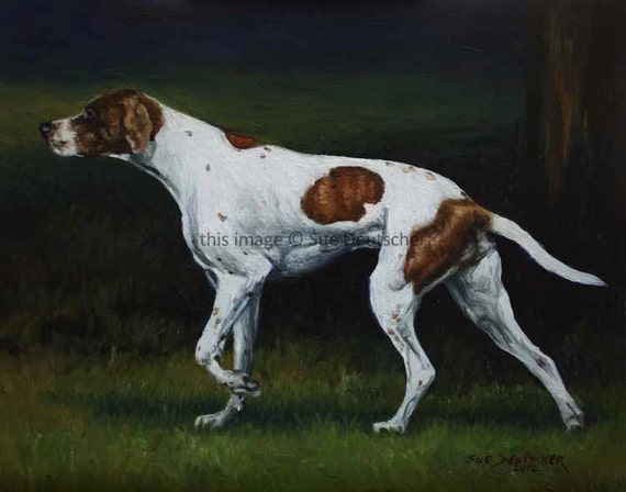 English Pointer Dog art 11x14 print