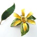 Vintage Flower Brooches Jewelry Lot Shabby Chic Yellow Daffodil Green Leaf Floral Pins (Free Shipping USA)