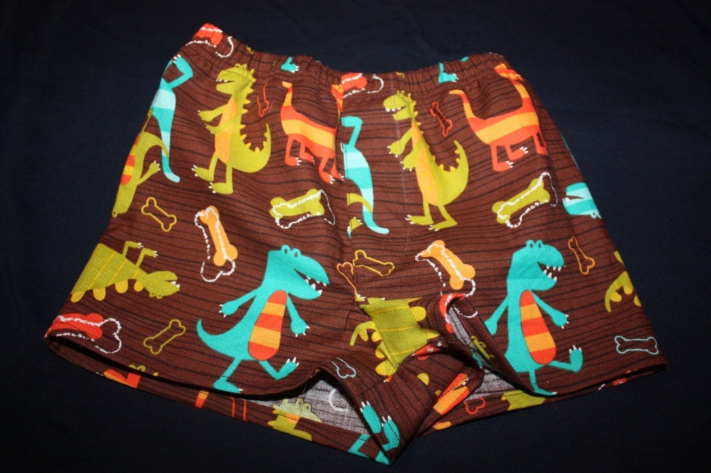 Baby Boy Dinosaur Boxers