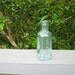 MEXICAN MUSTANG LINIMENT LYON MFG. CO. NEW YORK Antique Bottle