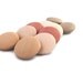 Fabric Buttons Neutral - Orange Beige Sand - Set of 10