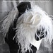 Wedding Shrug, Bolero Bridal Ostrich Dupioni Silk /BIRd Of PARADISe/ Handmade Silk Rose Brooch Satin Lined, Gatsby Style