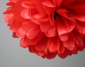 Red - 1 Tissue Paper Pom Pom - Valentine's Day DIY Decor Kit - Portland Original - BHLDN - Chinese New Year - Christmas Winter Holidays Il_170x135