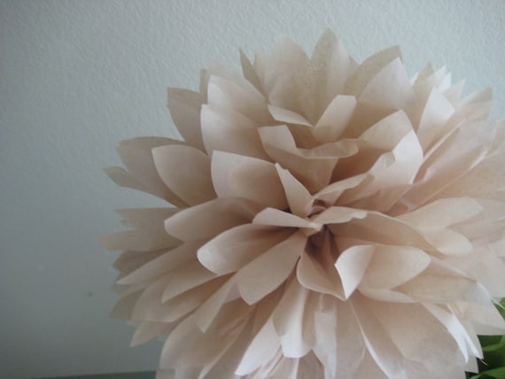 Vanilla - 1 Large Tissue Pom Il_570xn