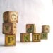 Chippy Wood Alphabet Blocks With Animal Pictures