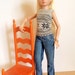 Ellowyn Wilde Fashion Doll Jeans and Sweater