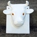milk cow