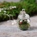Tiny Moss, Mushroom and Fern Terrarium Necklace