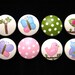 HAYLEY Bedding Design - Set of 8 Knobs - Pottery Barn Kids Design - HAND PAINTED