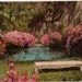 Vintage Georgia Postcard - Wormsloe Gardens, Isle of Hope, Savannah (Unused)