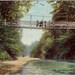 Vintage California Postcard - Swinging Bridge, Santa Cruz (Unused)