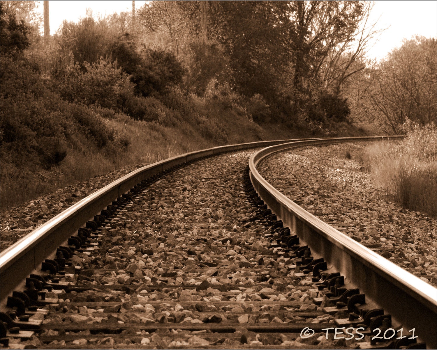 Railway Photo Hop The Rail Photo Railroad by PhotographybyTess