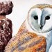 Owl, Original Vintage Plate, n1