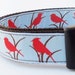 A Little Bird Told Me - Dog Collar / Pet Accessories / Handmade / Adjustable / Collars