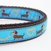 Longback Love in Blue- Dog Collar / Handmade / Pet Accessories / Adjustable