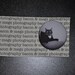 Scaredy Cat 1 1/4 Inch Pinback Button - Original Photo