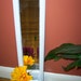 Beveled Mirror Wall Pocket Attached White Framed