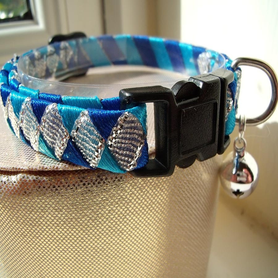Silver Cat Collar with Blue contrast