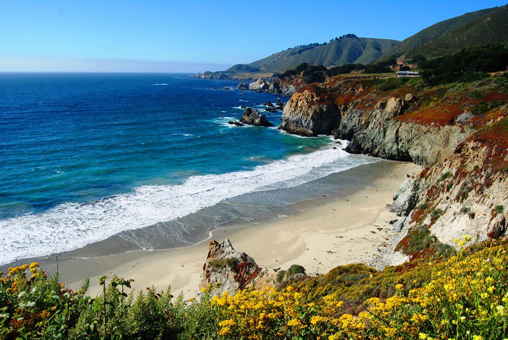 Big Sur Beach California Coast Wildflowers on by carensilvestri