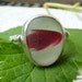 COMET Red Sea Glass Ring - Genuine English Seaglass Multi - Sterling Silver - Size 8-1/2