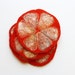 SALE Bitter Felted grapefruit coasters / Ready for dispatch now