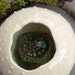 Green Spore Pod Inside Sea Urchin Shell Pod Ceramic Wall Hanging