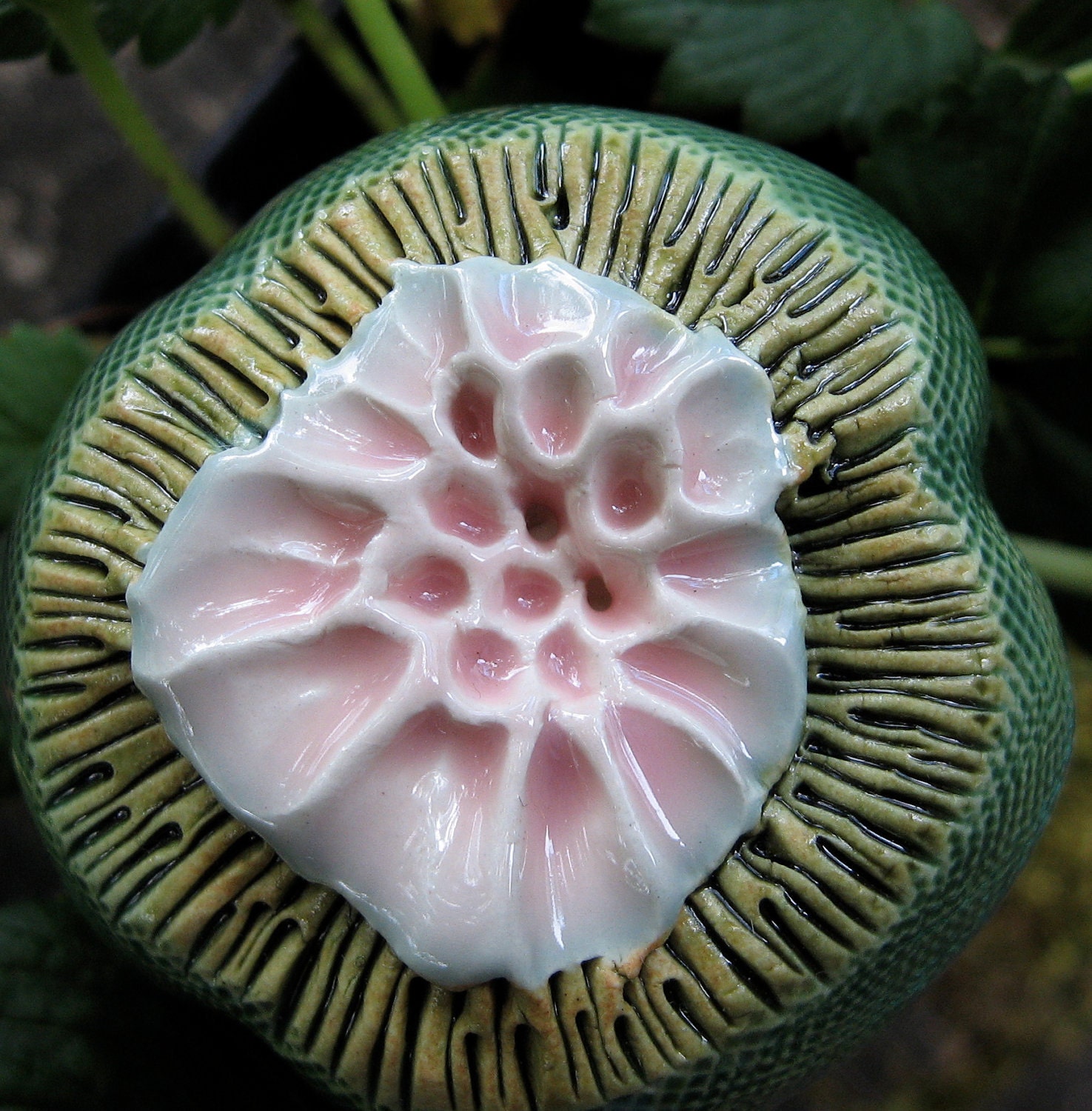 Green Spore Pod with Pink Center by dkruegerbotanicart on Etsy