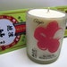 Sake & Soy -- Upcycled Ginjo Sake Bottle Natural Soy Candle, White, Unscented, Organic, Vegan, Recycled