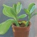 MOVING SALE-Small Succulent-Original Gouache Painting-