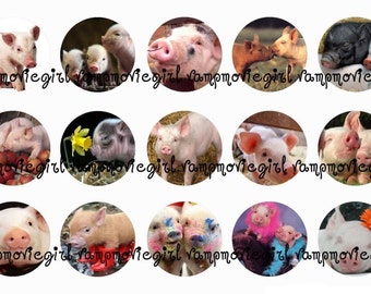 INSTANT DOWNLOAD...Pigs and Piggies 1 Inch Circle Images Collage Sheet for Bottle Caps ...Buy 3 get 1