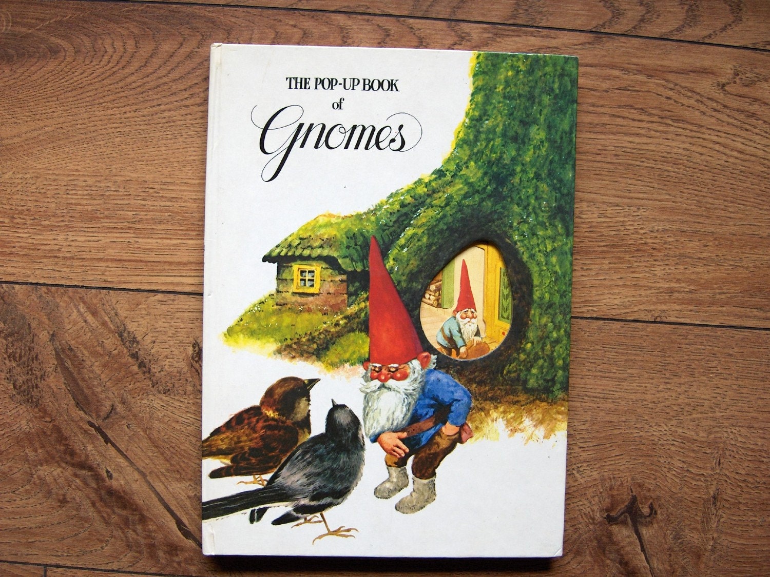 Vintage 1979 Pop-Up Book Of Gnomes