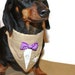 Dog Suit Bandana Sz XS S