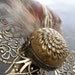 Pheasant Feather Brooch Woodland Renaissance